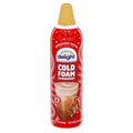 International Delight Cold Foam Peppermint Mocha, 14 Ounce